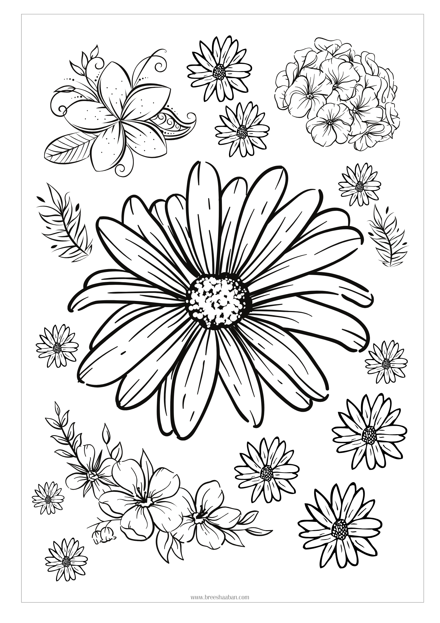 Mixed florals free pdf download, print ready colouring sheet for adults, coloring for kids.
